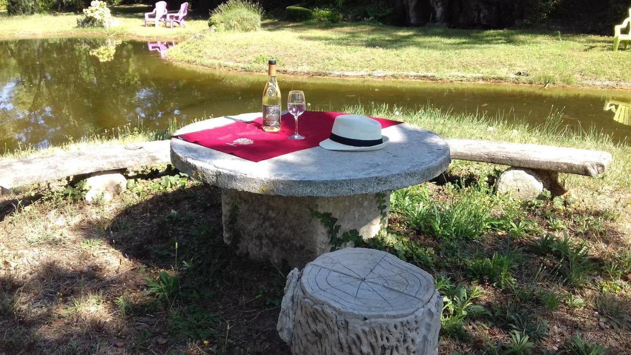Domaine De Bellevue Chambre D'Hotes Beaumes-de-Venise Εξωτερικό φωτογραφία